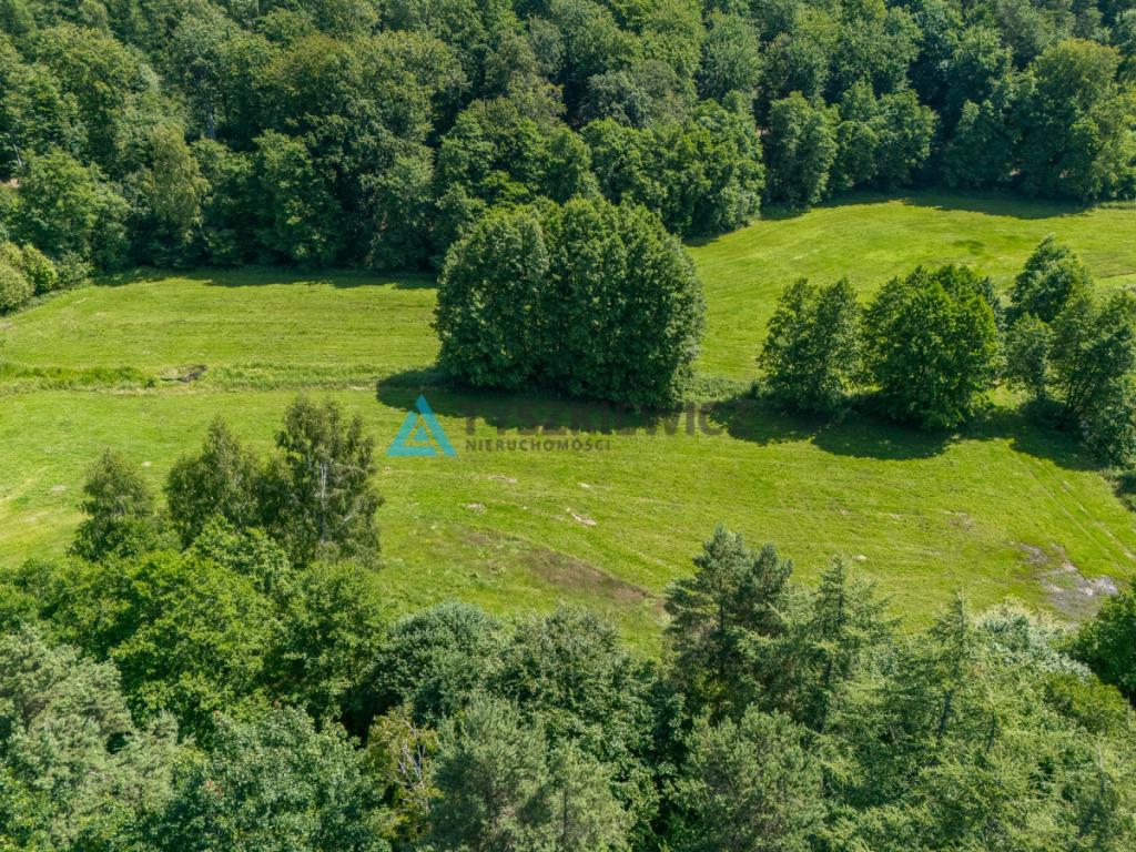 Dwie działki otoczone Lasami Państwowymi - zdjęcie 8