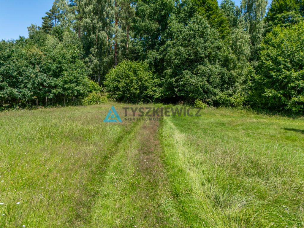 Dwie działki otoczone Lasami Państwowymi - zdjęcie 9