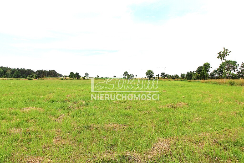 Działka rolna 1500 m², Żelewo, Ogrodowa - zdjęcie 5