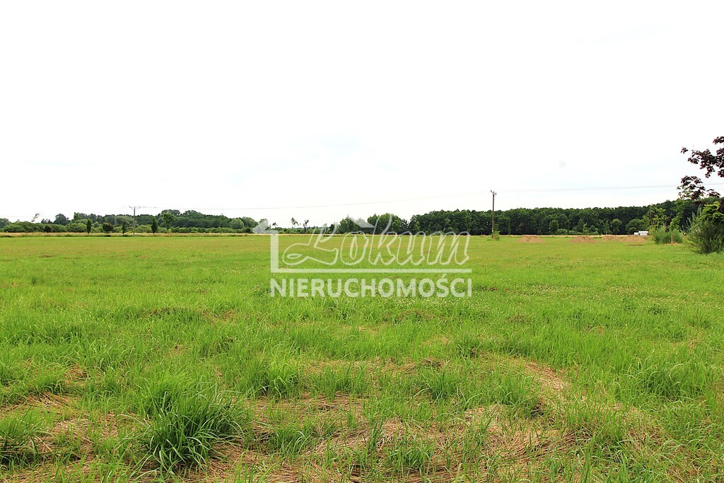 Działka rolna 1500 m², Żelewo, Ogrodowa - zdjęcie 4