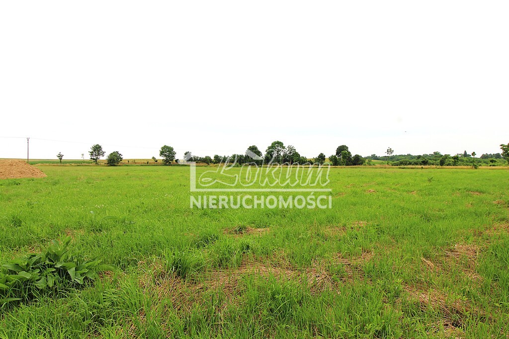 Działka rolna 1500 m², Żelewo, Ogrodowa - zdjęcie 1