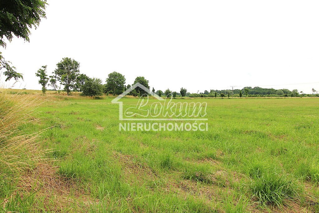 Działka rolna 1500 m², Żelewo, Ogrodowa - zdjęcie 3