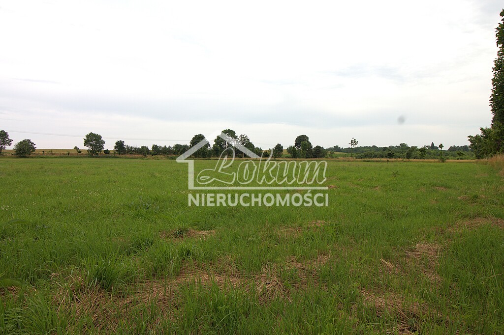 Działka rolna 1500 m², Żelewo, Ogrodowa - zdjęcie 2