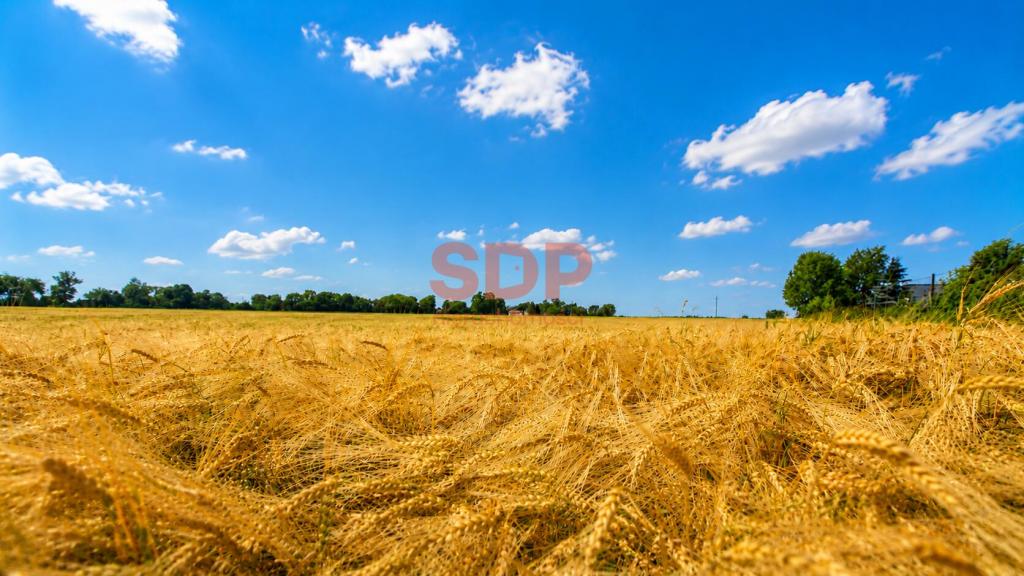 Działka budowlana 1184 m², Bratowice - zdjęcie 13