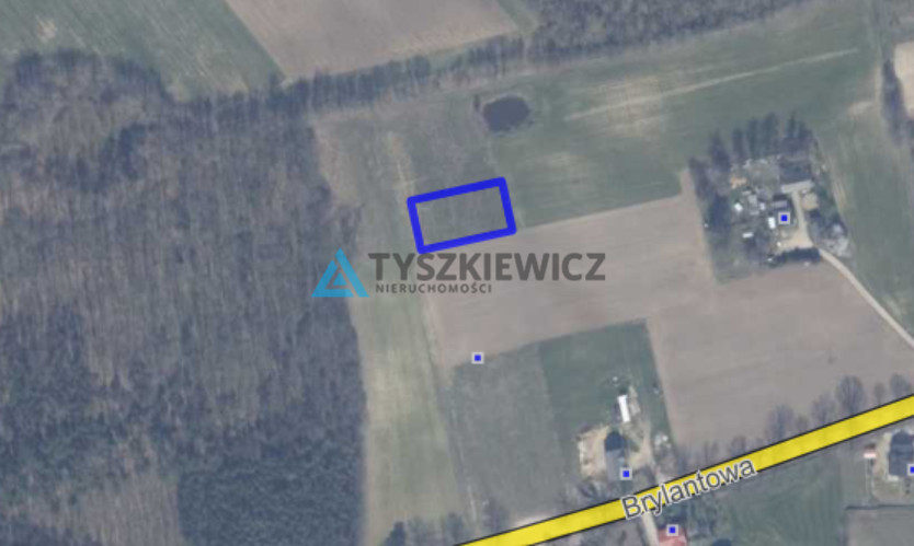 Malownicza działka | Skrzeszewo | 30min do Gdańska - zdjęcie 14