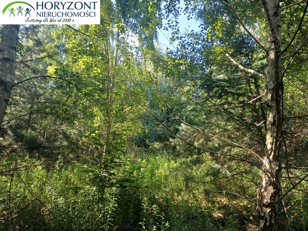 Działka budowlana 954 m², Borzestowo - zdjęcie 5