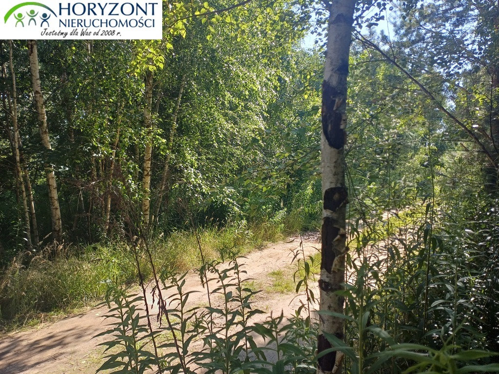 Działka budowlana 954 m², Borzestowo - zdjęcie 8