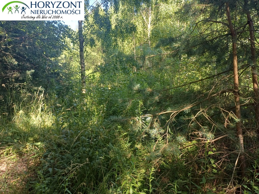 Działka budowlana 954 m², Borzestowo - zdjęcie 2