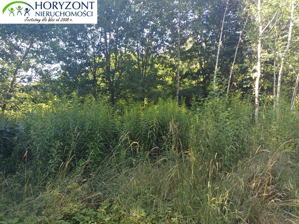 Działka budowlana 954 m², Borzestowo - zdjęcie 15