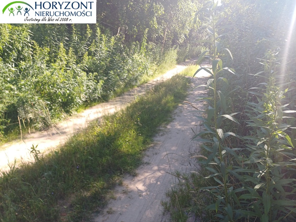 Działka budowlana 954 m², Borzestowo - zdjęcie 11