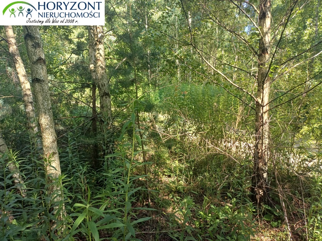Działka budowlana 954 m², Borzestowo - zdjęcie 4