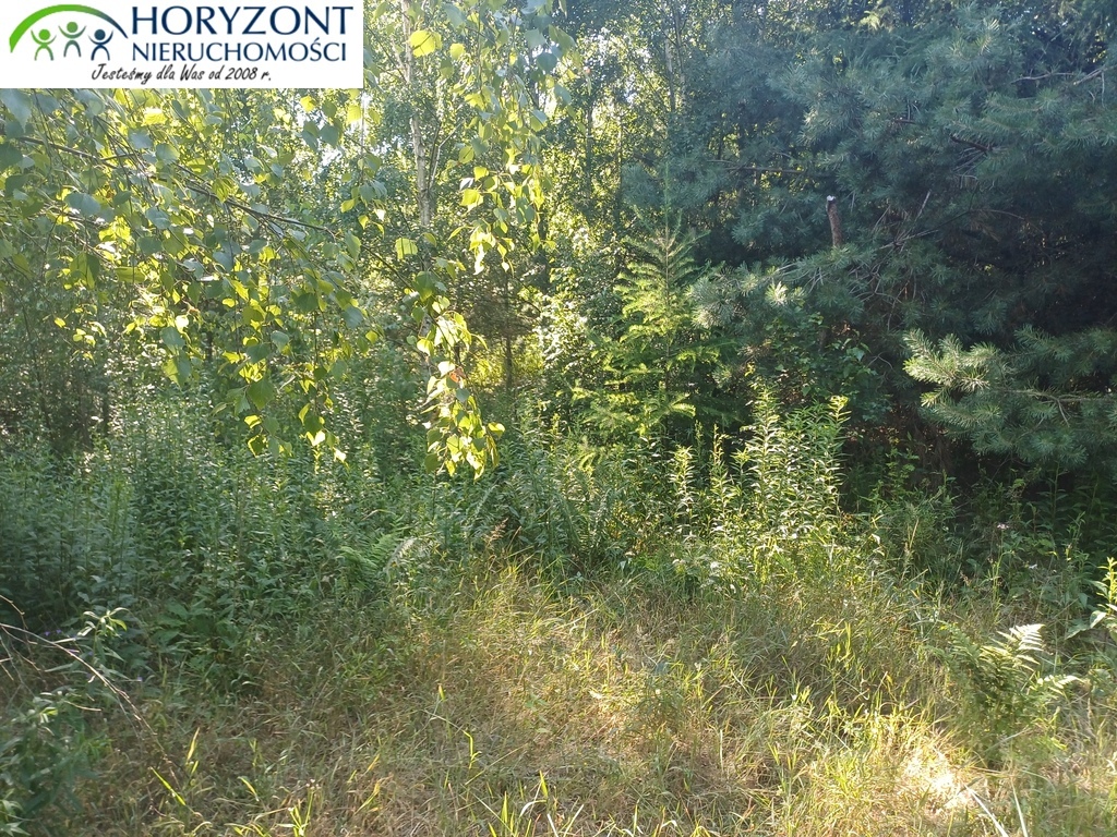 Działka budowlana 954 m², Borzestowo - zdjęcie 9