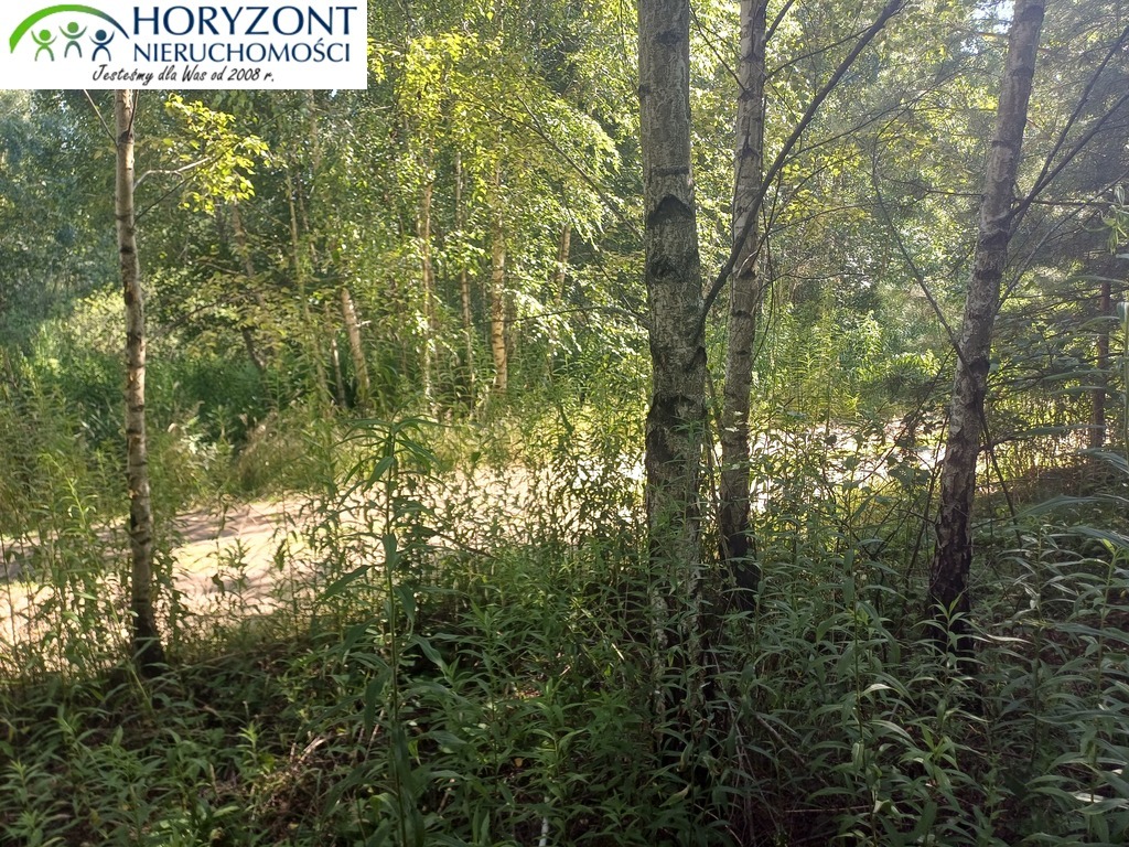 Działka budowlana 954 m², Borzestowo - zdjęcie 3