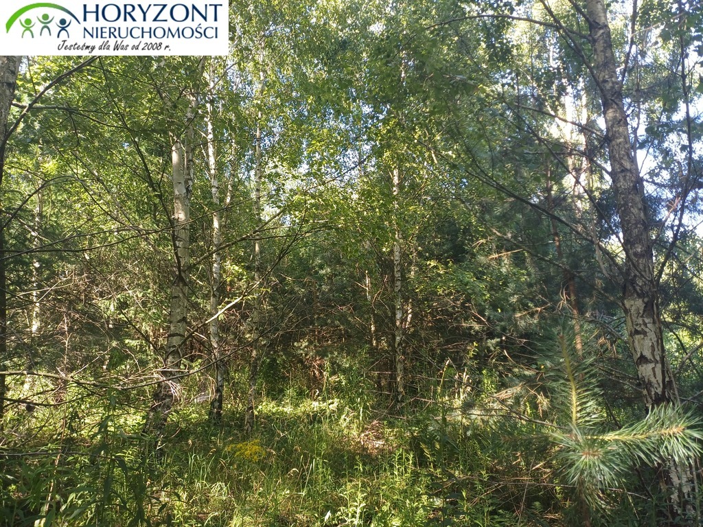 Działka budowlana 954 m², Borzestowo - zdjęcie 6