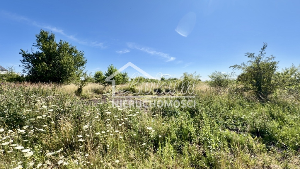 Działka budowlana 805 m², Wołczkowo - zdjęcie 4