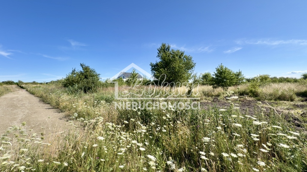 Działka budowlana 805 m², Wołczkowo - zdjęcie 2