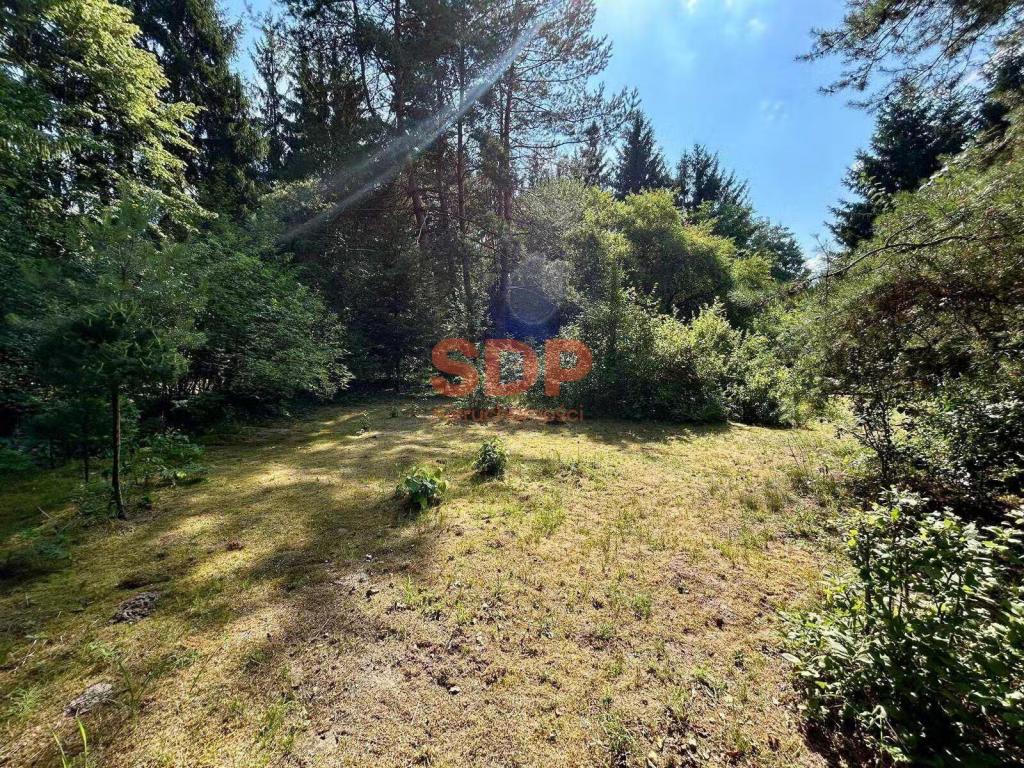 Działka rekreacyjna 961 m², Radachówka, Radachówka - zdjęcie 4