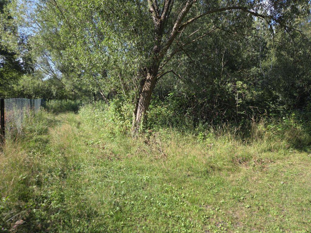 W atrakcyjnej okolicy działka rekreacyjna do sprzedania - zdjęcie 3