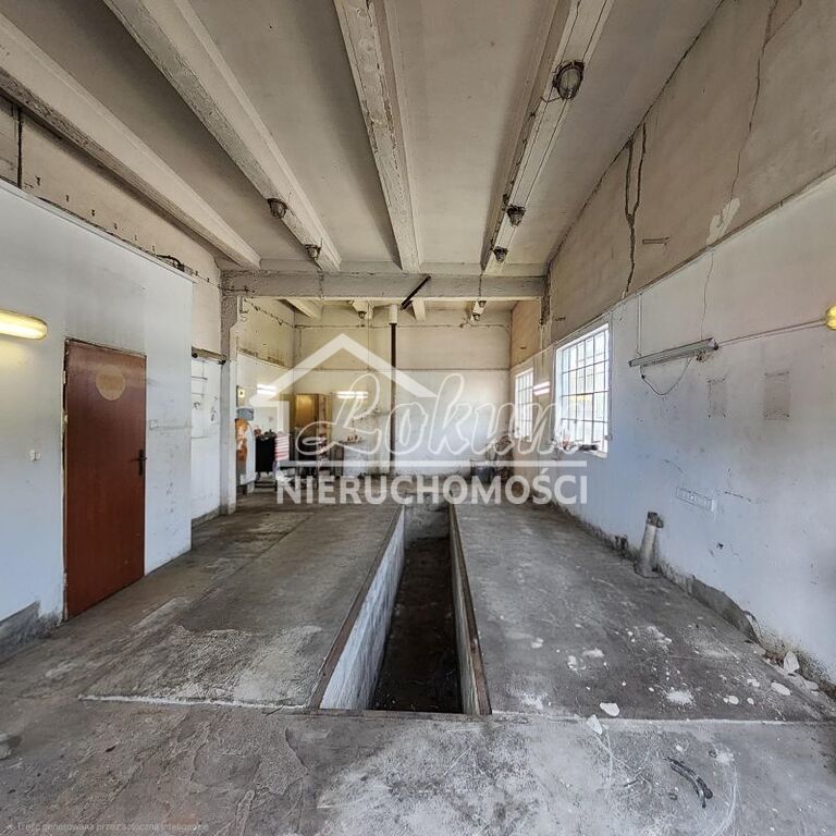 Lokal usługowy do wynajęcia, 92&nbsp;m², Szczecin - zdjęcie 1