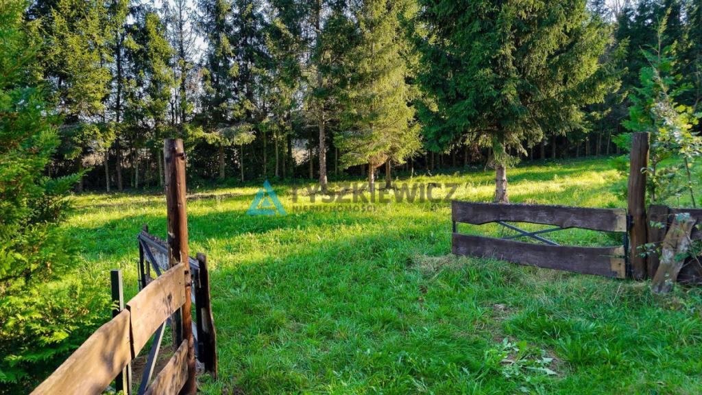 Nadole|Działka 1025m2|Blisko jeziora - zdjęcie 4
