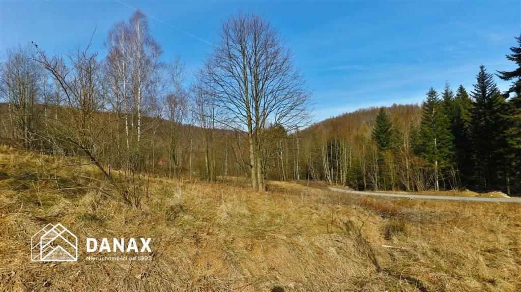 Działka inwestycyjna 4555&nbsp;m², Juszczyn - zdjęcie 3