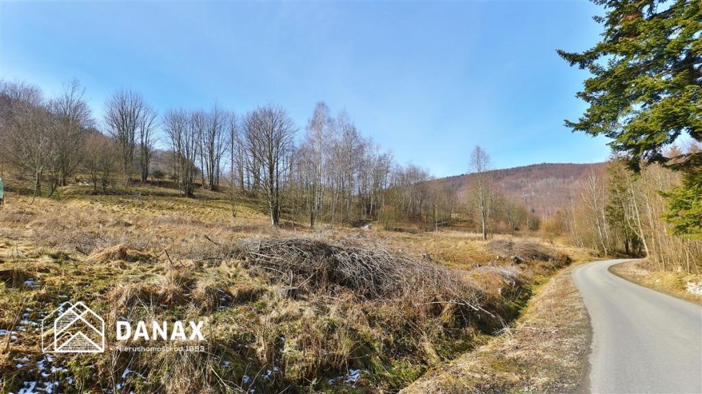 Działka inwestycyjna 4555&nbsp;m², Juszczyn - zdjęcie 6