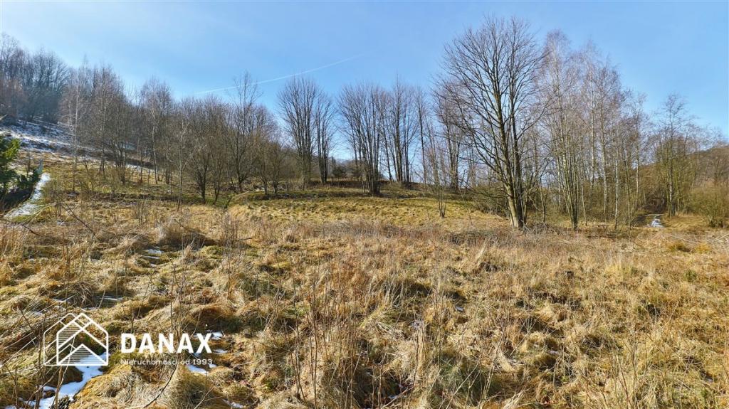 Działka inwestycyjna 4555&nbsp;m², Juszczyn - zdjęcie 4