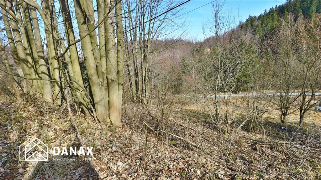Działka inwestycyjna 4555&nbsp;m², Juszczyn - zdjęcie 11