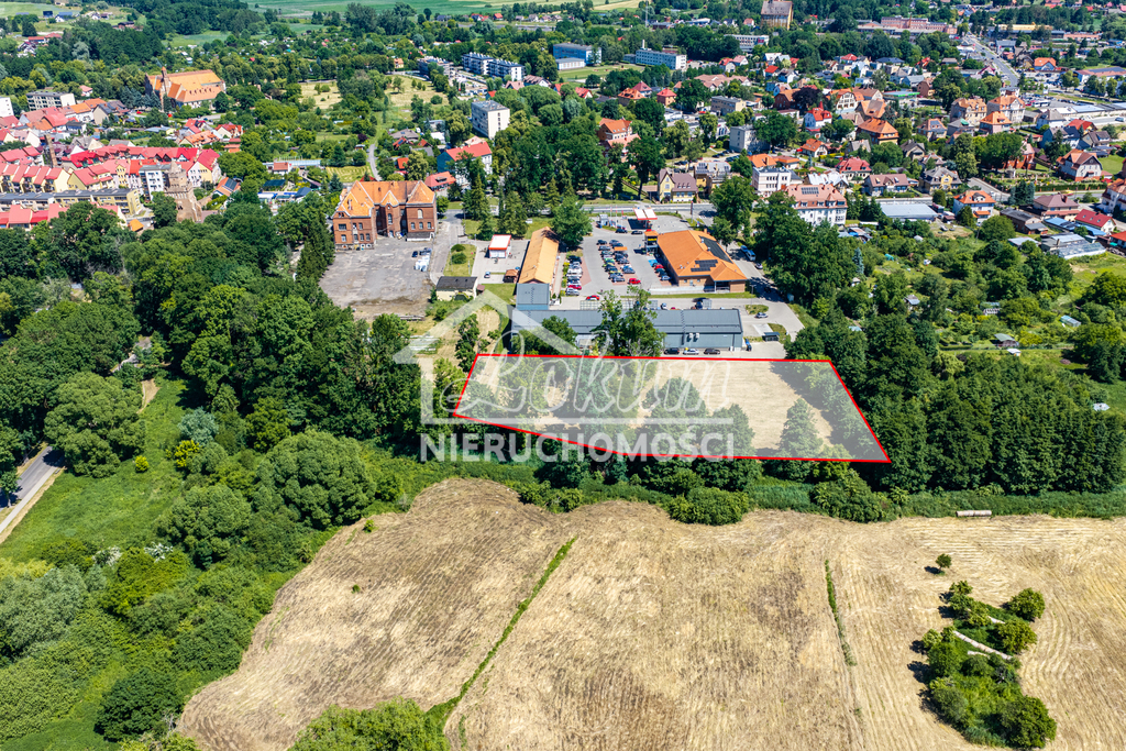 Działka budowlana 5372 m², Chojna - zdjęcie 6