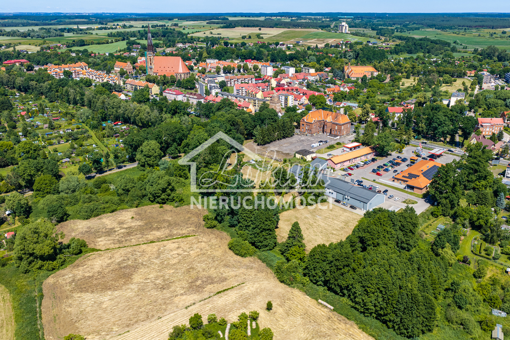 Działka budowlana 5372 m², Chojna - zdjęcie 4