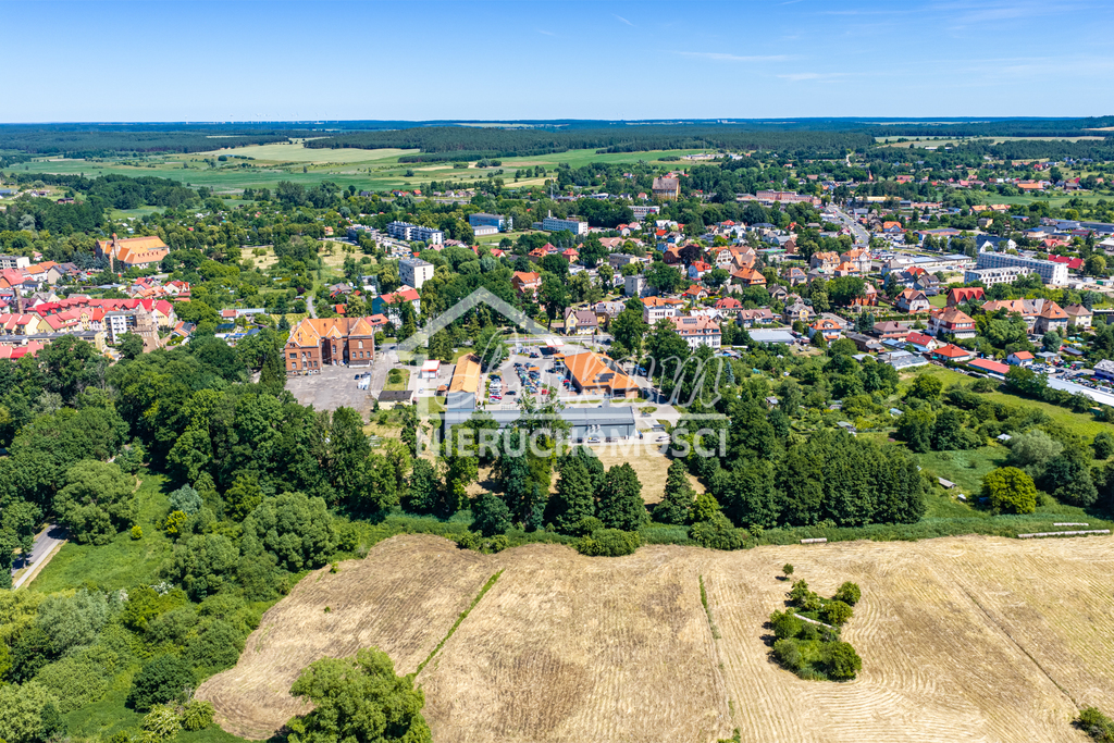 Działka budowlana 5372 m², Chojna - zdjęcie 5