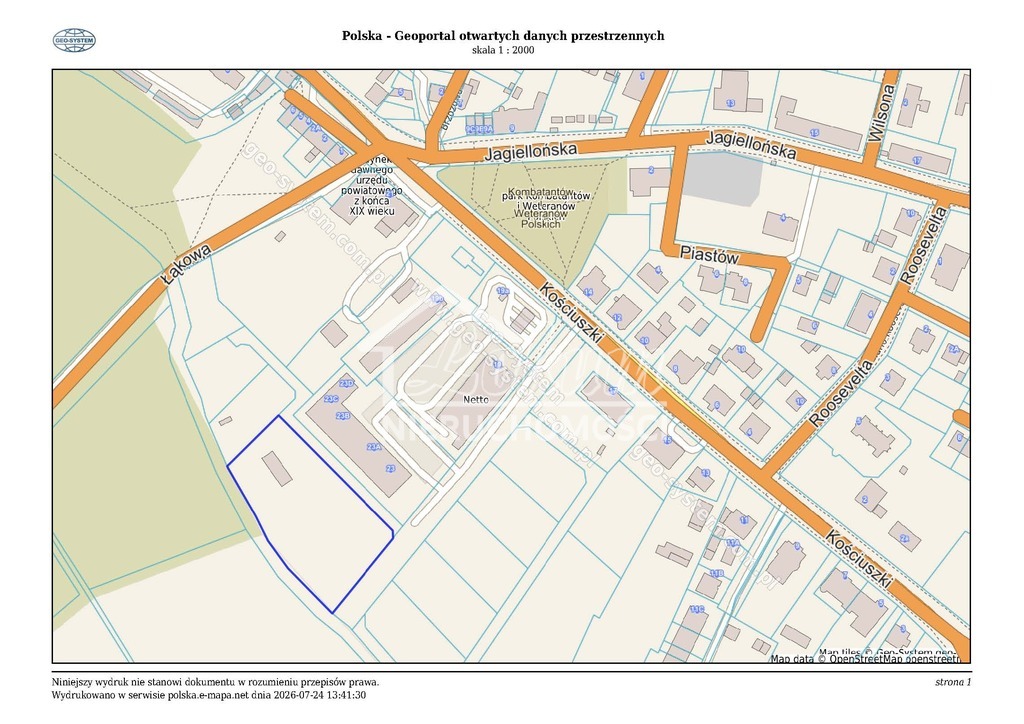 Działka budowlana 5372 m², Chojna - zdjęcie 10