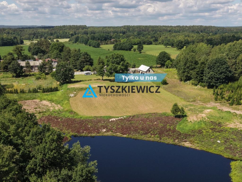 Siedlisko z potencjałem inwestycyjnym 3,3 ha - zdjęcie 1