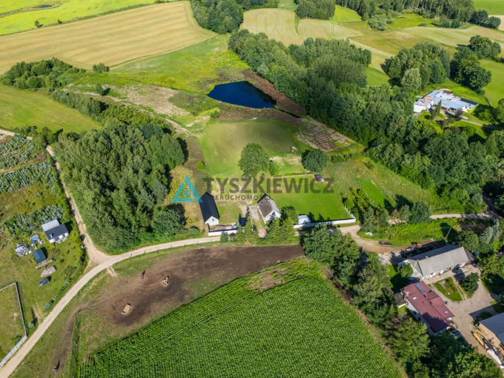 Siedlisko z potencjałem inwestycyjnym 3,3 ha - zdjęcie 23