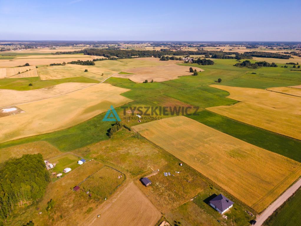 Działka Nowe Polaszki - zdjęcie 9