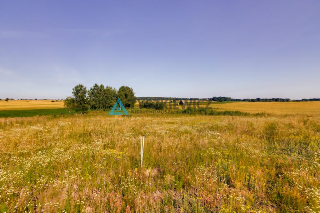 Działka Nowe Polaszki - zdjęcie 12
