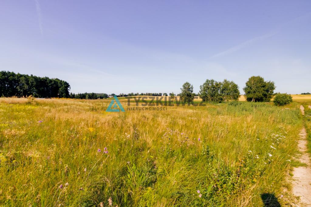 Działka Nowe Polaszki - zdjęcie 11