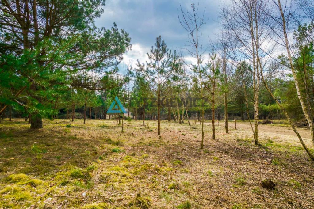 Wyjątkowa działka z własną linią brzegową rzeki! - zdjęcie 24