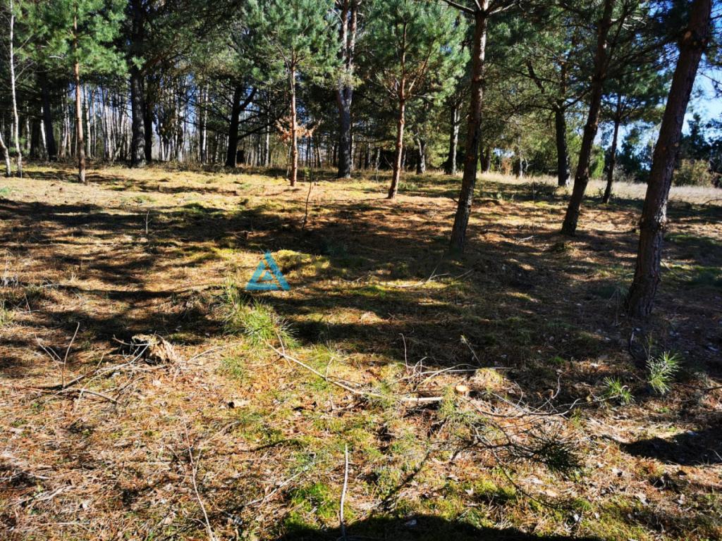Wyjątkowa działka z własną linią brzegową rzeki! - zdjęcie 25