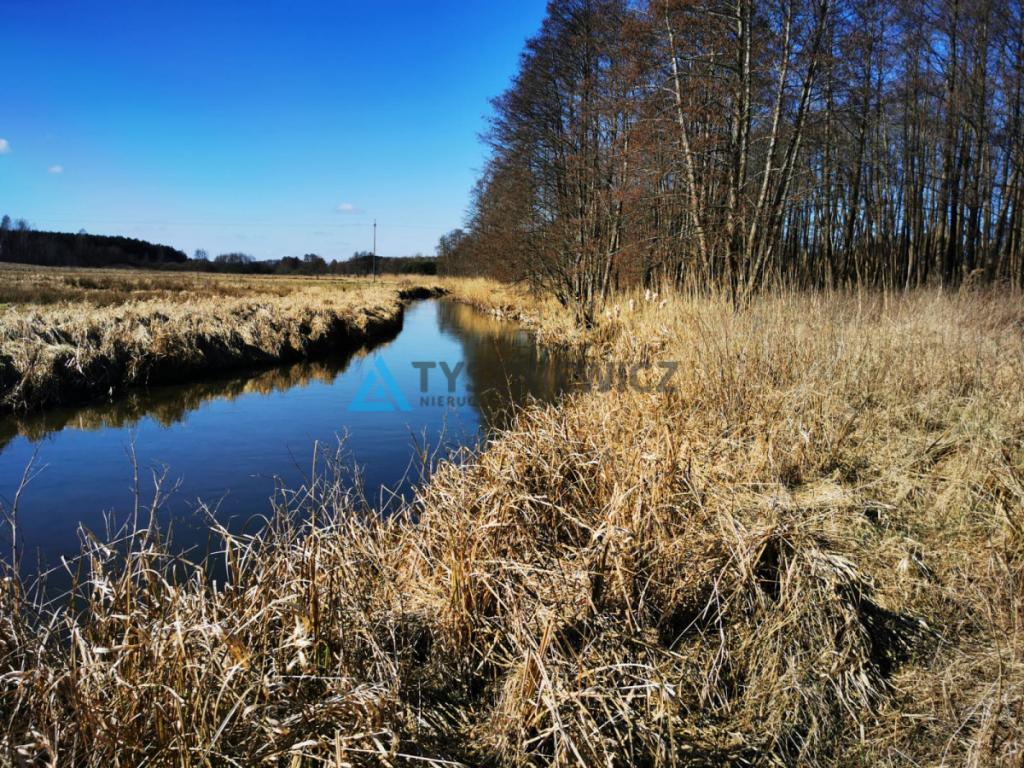 Wyjątkowa działka z własną linią brzegową rzeki! - zdjęcie 12