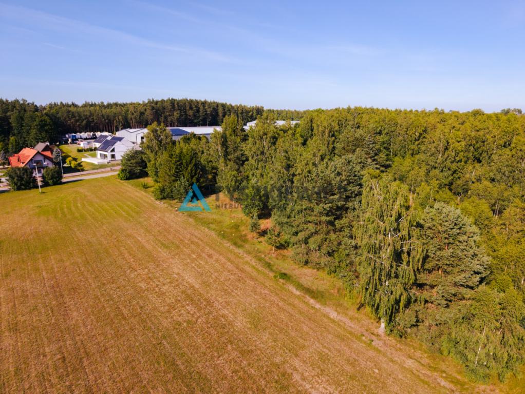 Urokliwa działka z własną linią brzegową rzeki! - zdjęcie 15