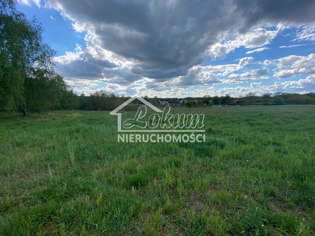 Działka budowlana 1479&nbsp;m², Rogowo - zdjęcie 2
