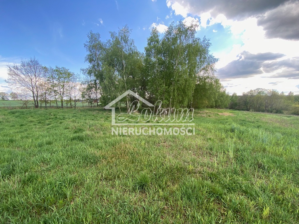Działka budowlana 1479&nbsp;m², Rogowo - zdjęcie 3