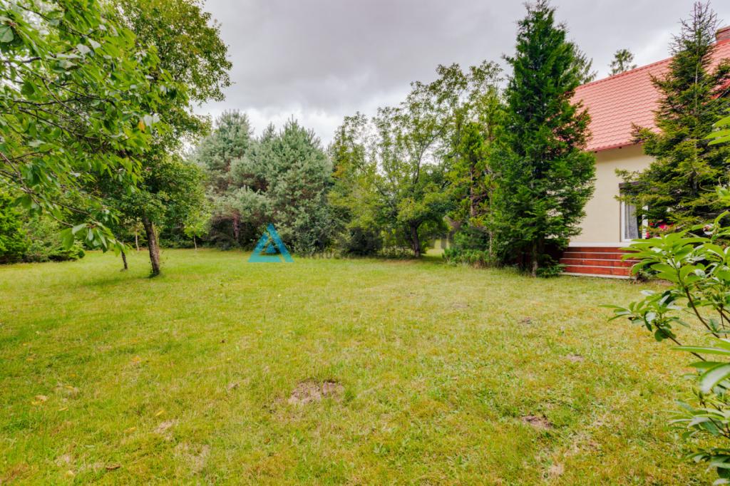 Przestronny, zadbany dom w zielonej enklawie. - zdjęcie 6