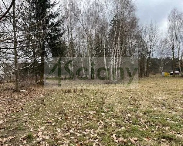 Działka budowlana 3952 m², Rusiec - zdjęcie 4