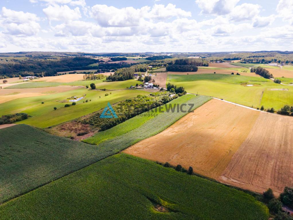 Działka z potencjałem inwestycyjnym - zdjęcie 7