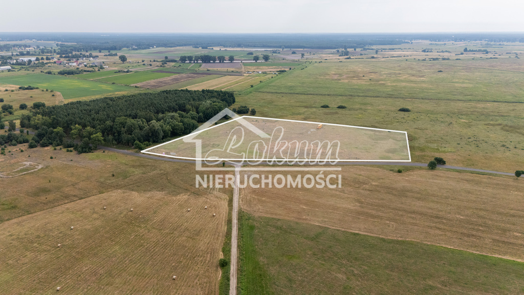 Działka rolna 3,24 ha, Lubczyna - zdjęcie 5