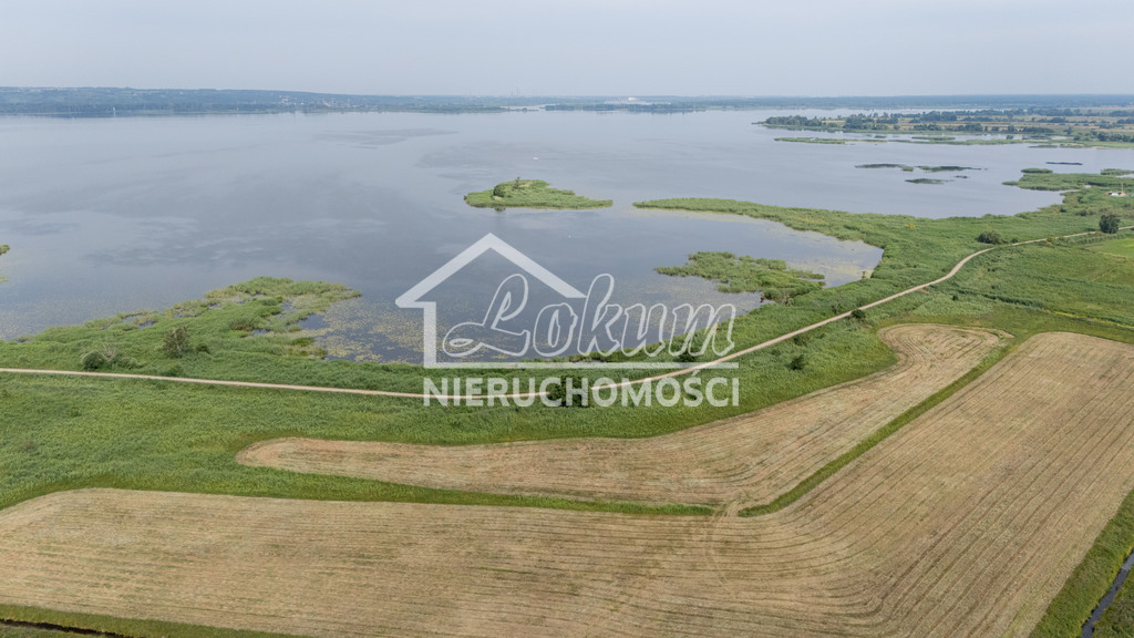Działka rolna 3,24 ha, Lubczyna - zdjęcie 4