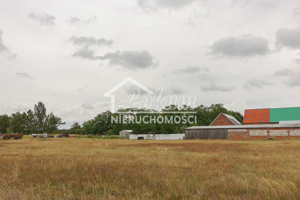 Działka rolna 1509&nbsp;m², Lubczyna, Kasztanowa - zdjęcie 12