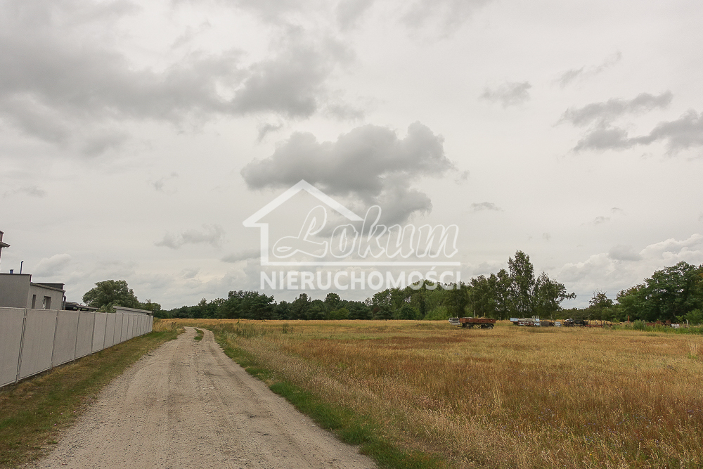 Działka rolna 1509&nbsp;m², Lubczyna, Kasztanowa - zdjęcie 13